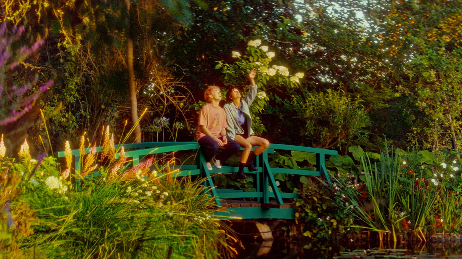 A SECOND LIFE still